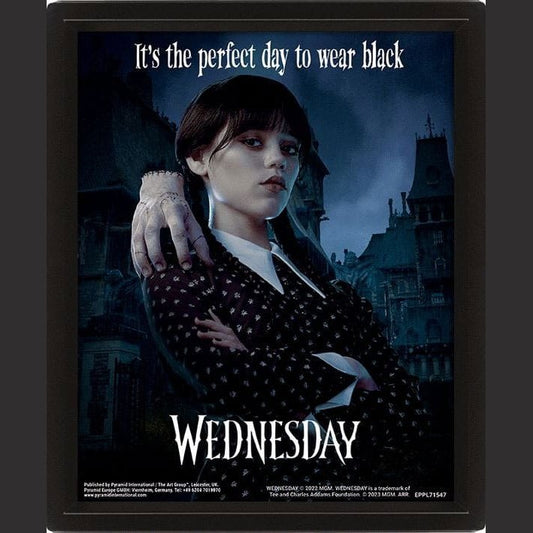 Wednesday 3D Framed Poster Perfect Day 26 x 20 cm